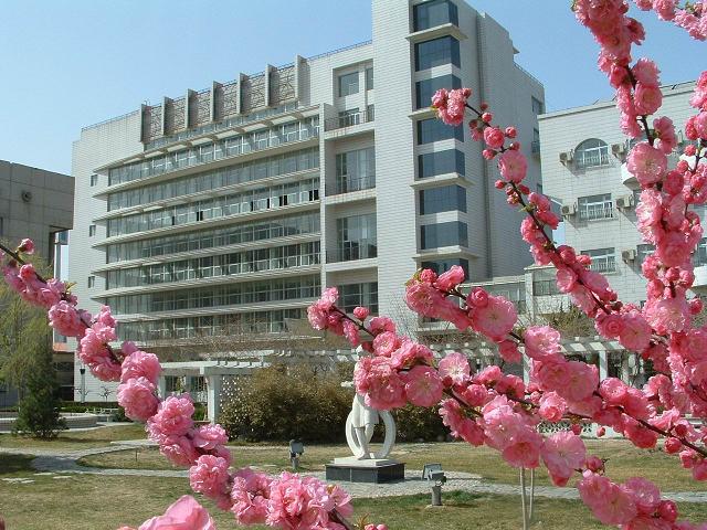 美女被大鸡巴暴操
